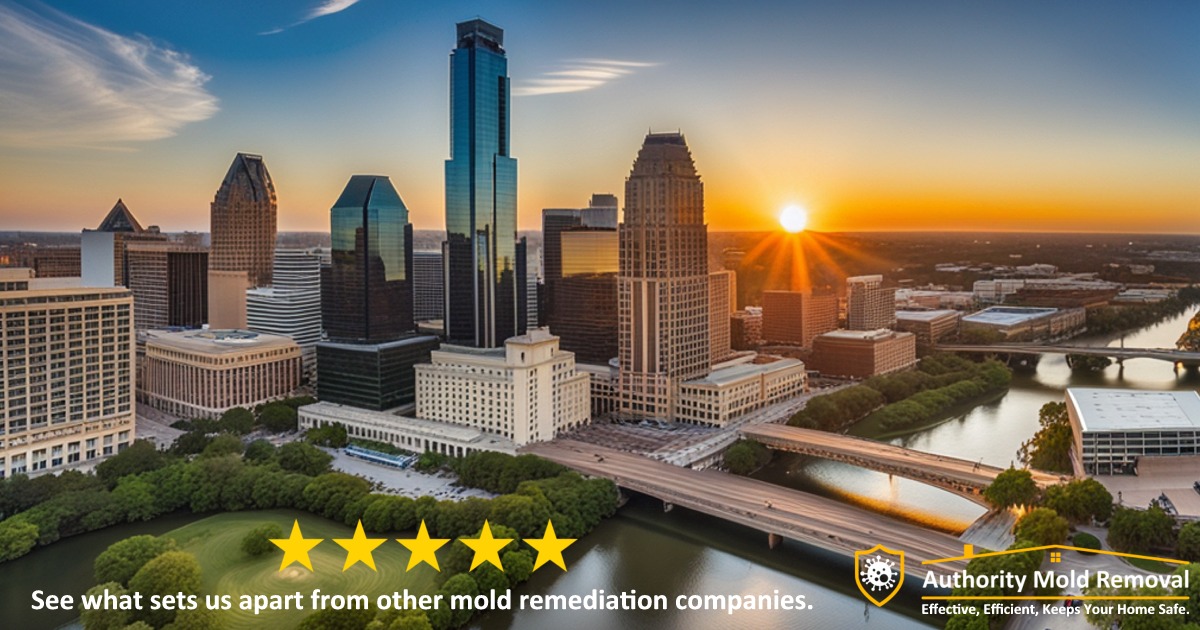 Mold Remediation Austin