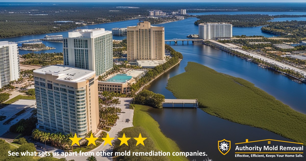 Mold Remediation Ft Myers